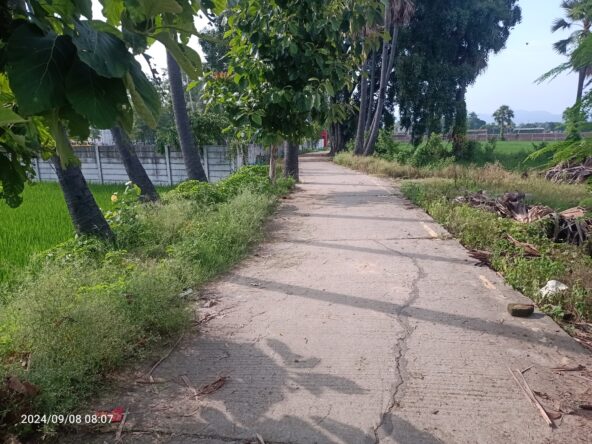 IMG20240908080705